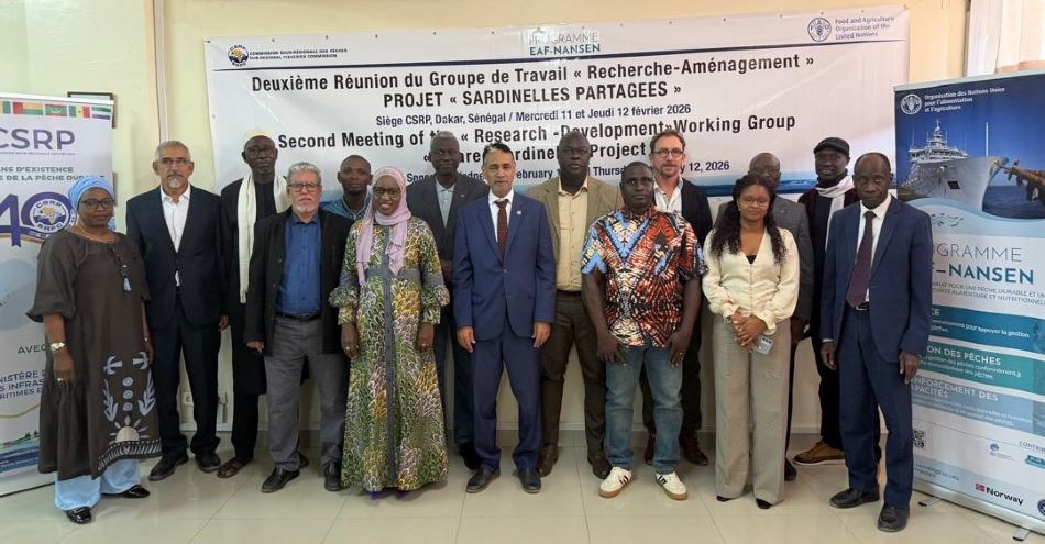 Réunion du Groupe de Travail « Recherche-Aménagement » : les acteurs valident les mesures opérationnelles pour sauver les sardinelles