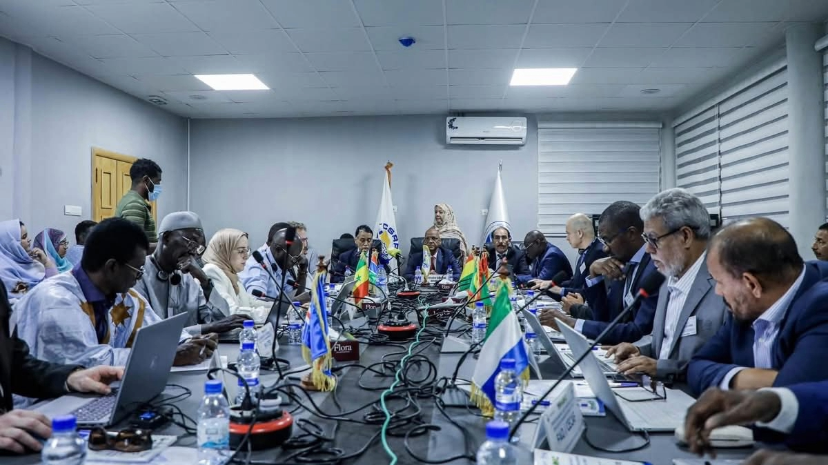 procédures de gestion des petits pélagiques en Afrique de l’Ouest, 19 et 20 mai 2026 à l’IMROP de Nouakchott