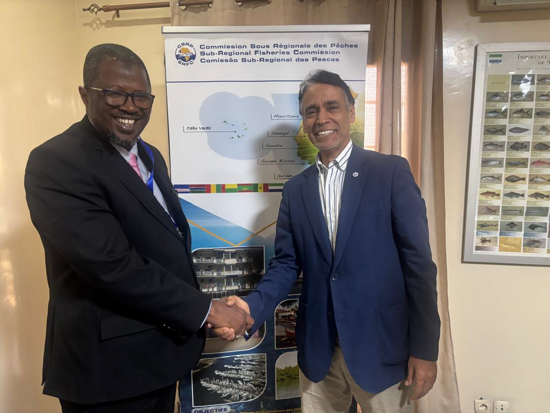 Coopération régionale : une délégation gambienne de haut niveau en visite à la CSRP pour renforcer la lutte contre la pêche INN